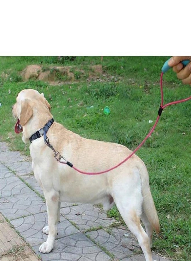 KittuPet Chew Proof Dog Leash,5 Ft Tie Out Cable with Non Detachable Short Dog Leashes Handle,Non Chew Cable Braided Cord Steel Training Dog Leash for Teething Puppies Small Medium and Large Dogs - Image 2